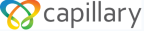 Capillary Technologies India Limited IPO