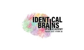 Identical Brains Studios Limited IPO
