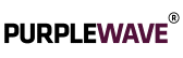 Purple Wave Infocom Limited IPO