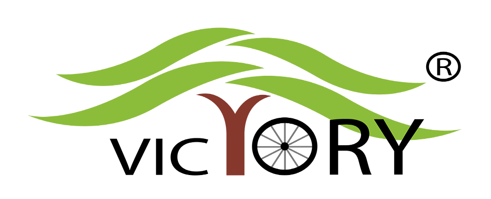 Victory Electric Vehicles IPO