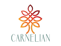 Carnelian Asset Management and Advisors Pvt Ltd