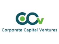 CCV Investment Managers LLP