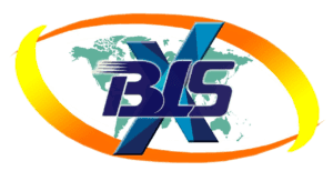 BLSX Limited