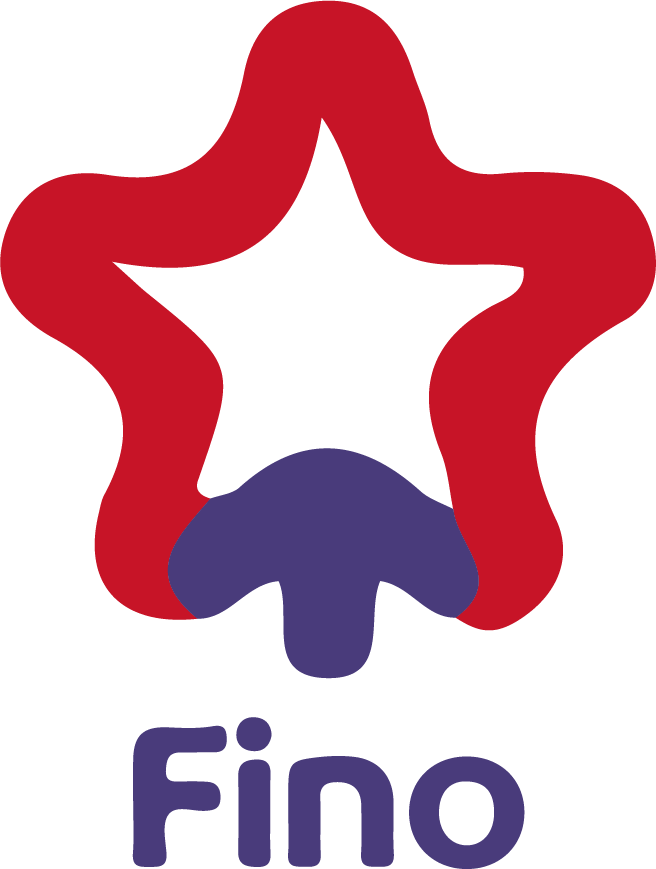  Fino Paytech Limited Unlisted Shares