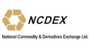  National Commodity & Derivatives Exchange (NCDEX) Limited Unlisted Shares
